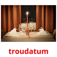 troudatum flashcards illustrate