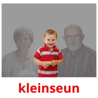 kleinseun picture flashcards