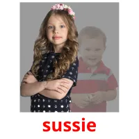 sussie picture flashcards