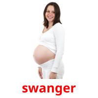 swanger picture flashcards