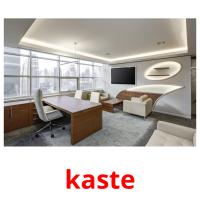 kaste picture flashcards