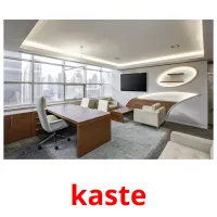 kaste picture flashcards