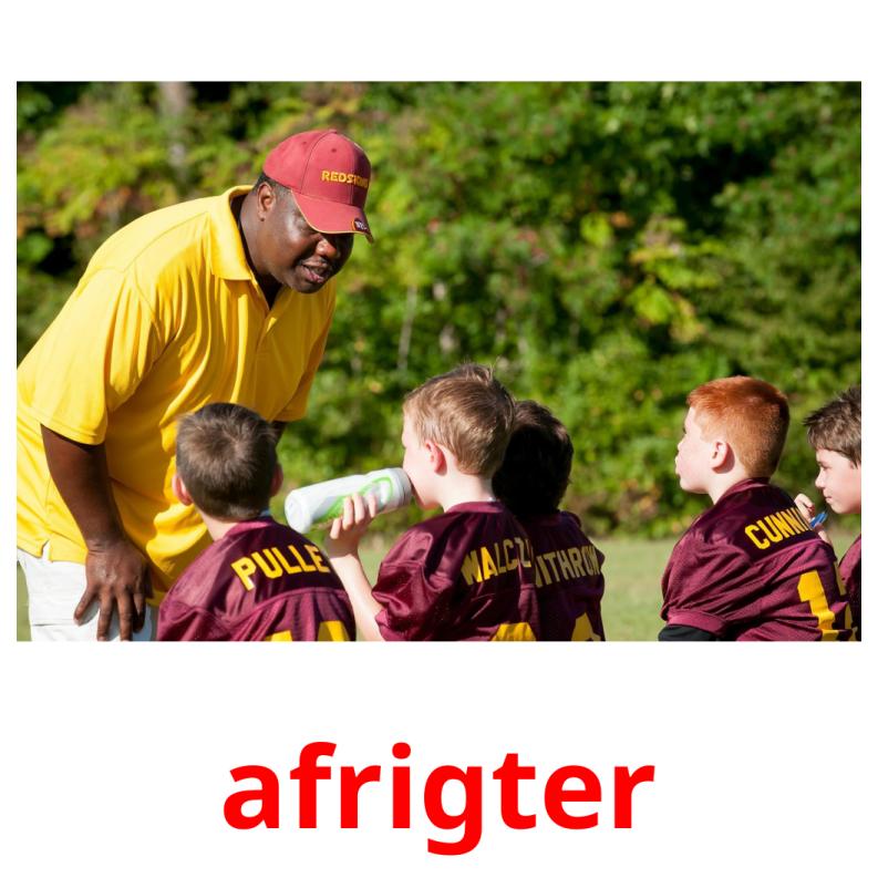 afrigter picture flashcards