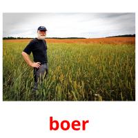 boer picture flashcards
