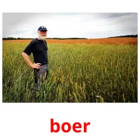 boer ansichtkaarten