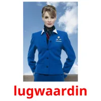 lugwaardin ansichtkaarten