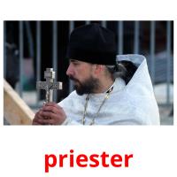 priester Tarjetas didacticas