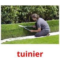 tuinier ansichtkaarten