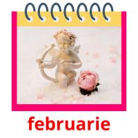 februarie picture flashcards