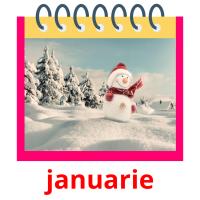 januarie picture flashcards
