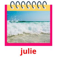 julie picture flashcards