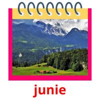 junie picture flashcards