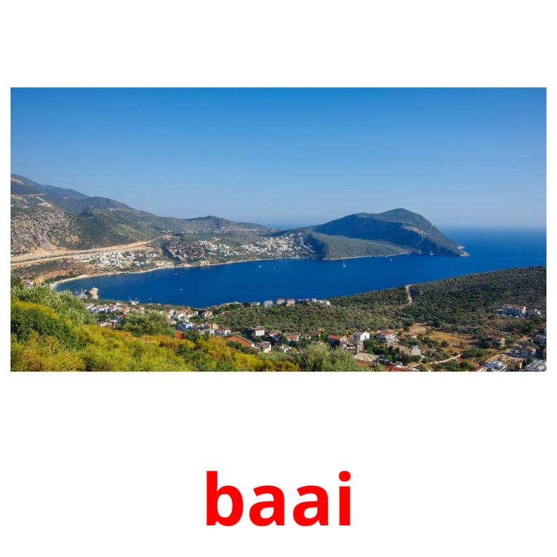 baai picture flashcards
