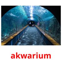 akwarium cartões com imagens