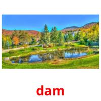 dam flashcards illustrate