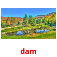 dam picture flashcards