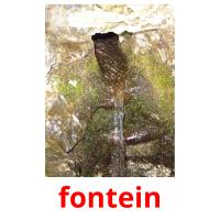 fontein picture flashcards