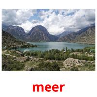 meer picture flashcards