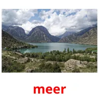 meer picture flashcards