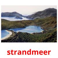 strandmeer cartões com imagens