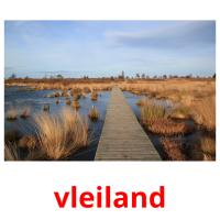 vleiland flashcards illustrate