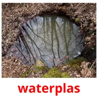 waterplas picture flashcards