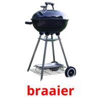 braaier picture flashcards