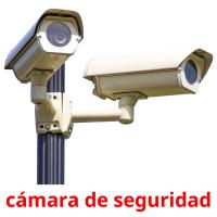 cámara de seguridad flashcards illustrate