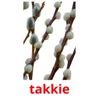 takkie Bildkarteikarten