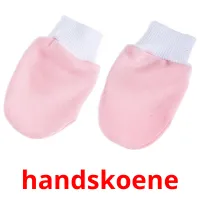 handskoene Tarjetas didacticas