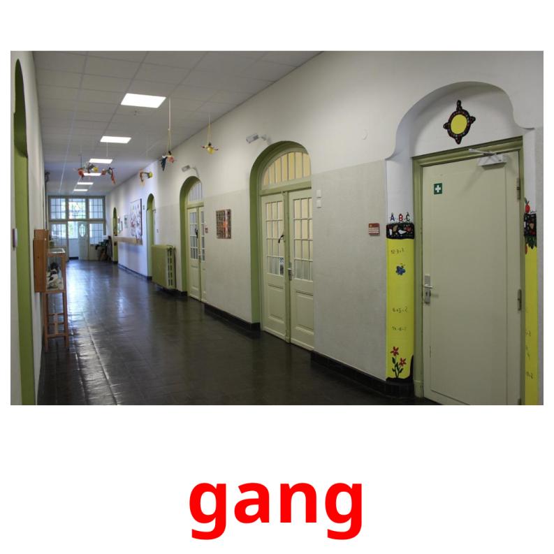 gang picture flashcards