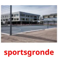 sportsgronde flashcards illustrate