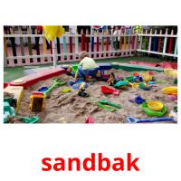 sandbak picture flashcards