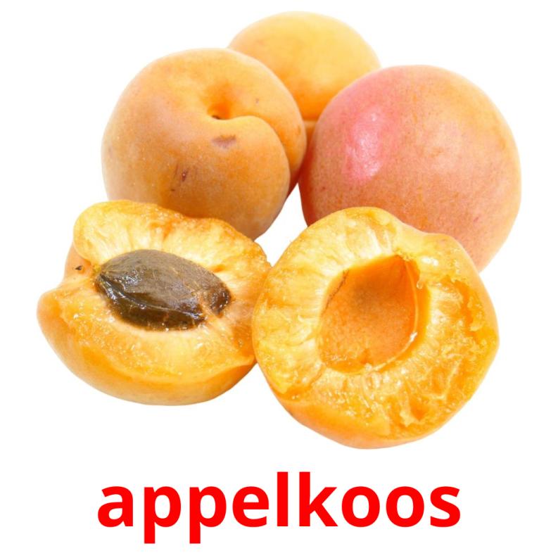 appelkoos picture flashcards