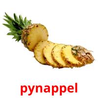 pynappel picture flashcards