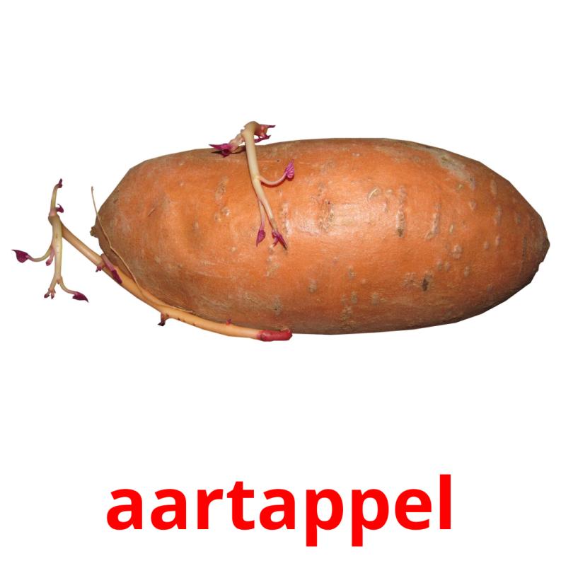 aartappel picture flashcards