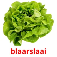 blaarslaai ansichtkaarten