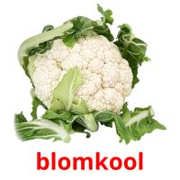 blomkool card for translate