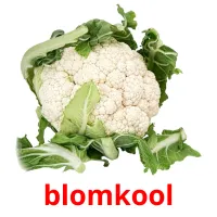 blomkool ansichtkaarten