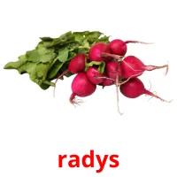 radys ansichtkaarten