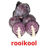 rooikool card for translate