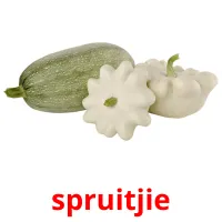 spruitjie ansichtkaarten