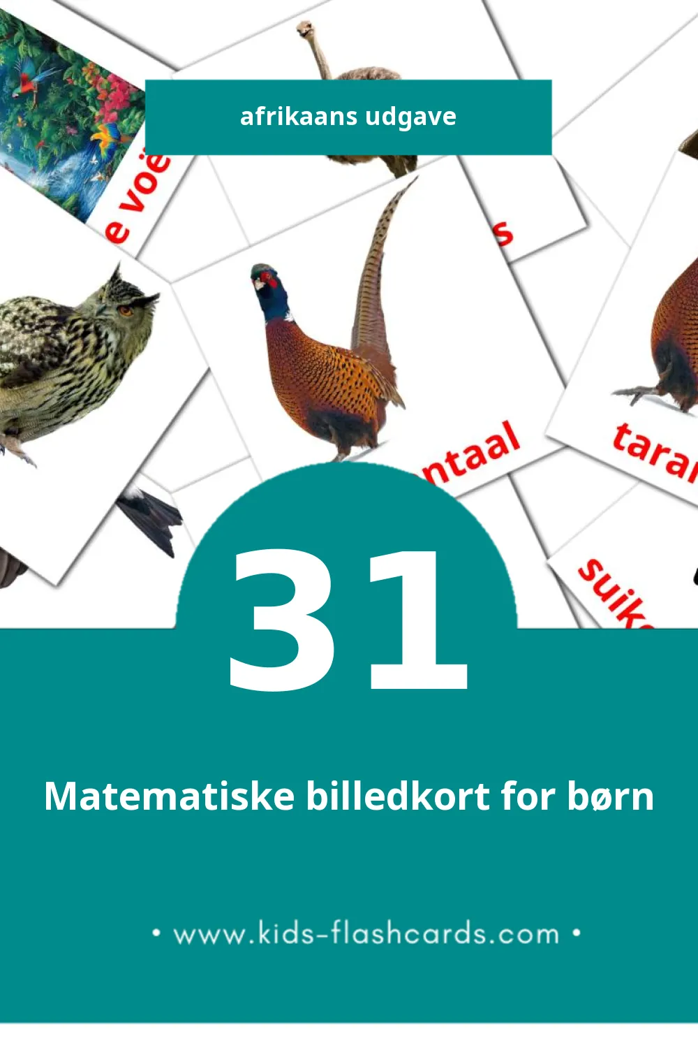 Visuelle billedkort for børn om Voels til småbørn (31 kort på Afrikaans)