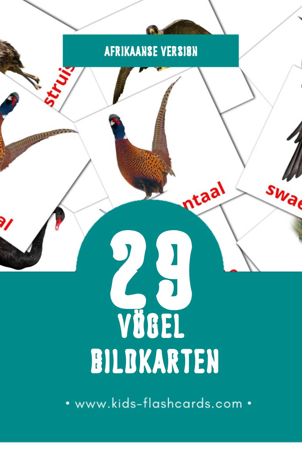 Visual Voels Flashcards für Kleinkinder (29 Karten in Afrikaans)