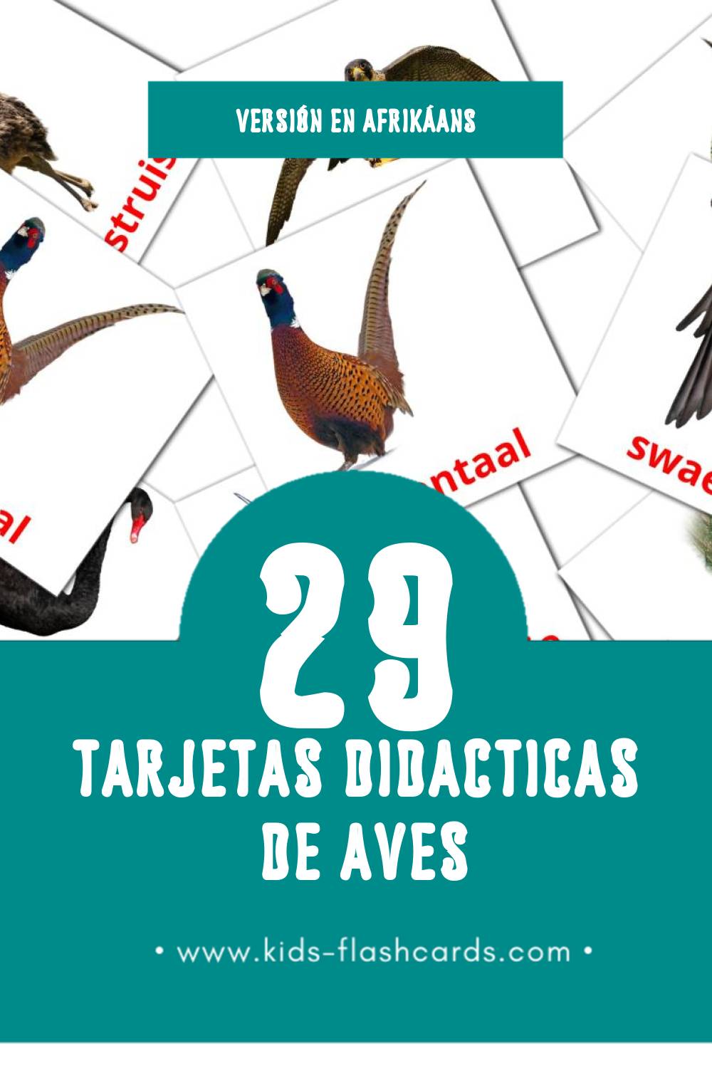 Tarjetas visuales de Voels para niños pequeños (29 tarjetas en Afrikáans)