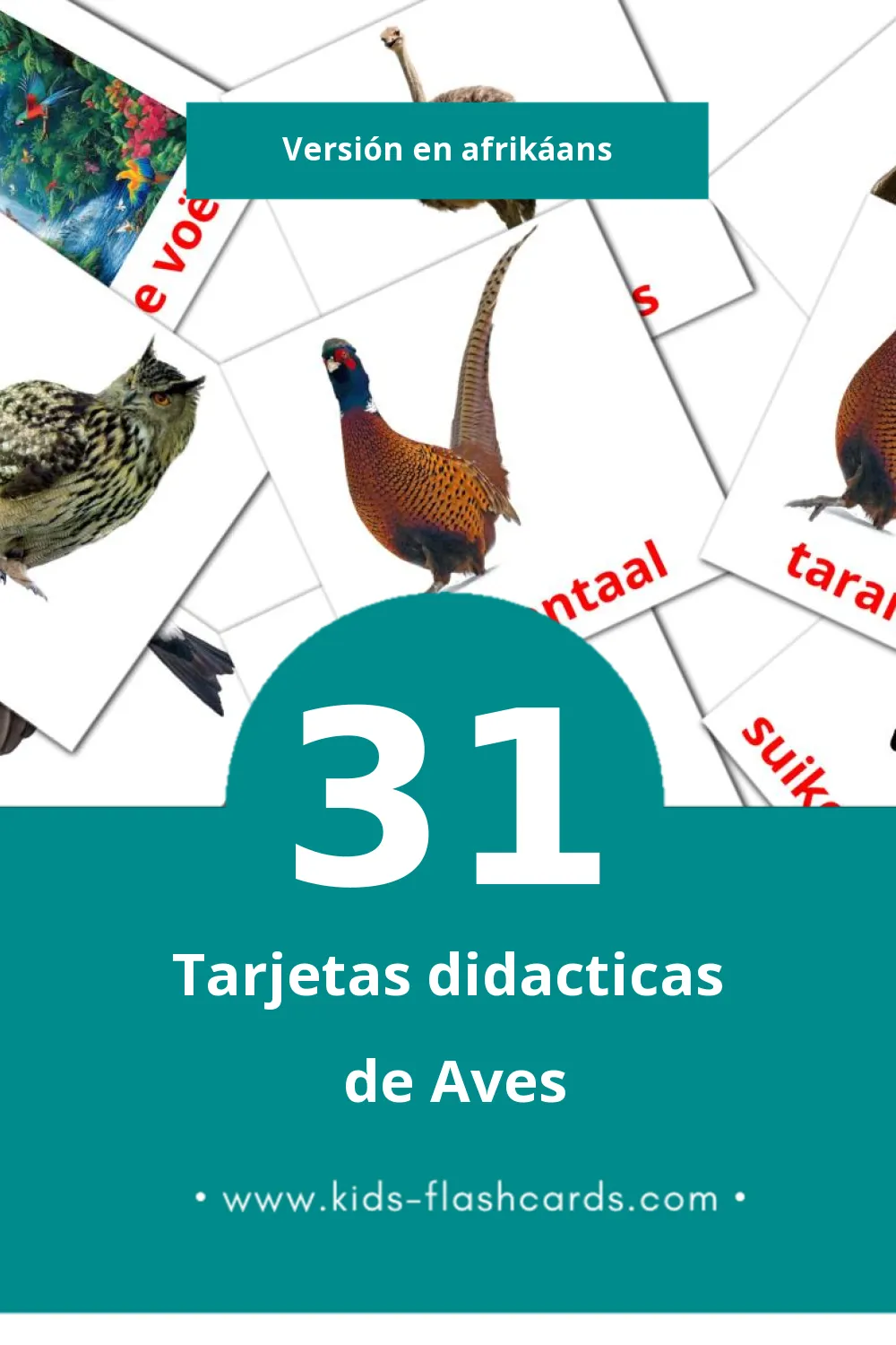 Tarjetas visuales de Voels para niños pequeños (31 tarjetas en Afrikáans)