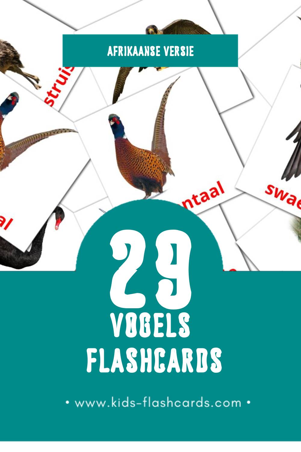 Visuele Voels Flashcards voor Kleuters (29 kaarten in het Afrikaans)