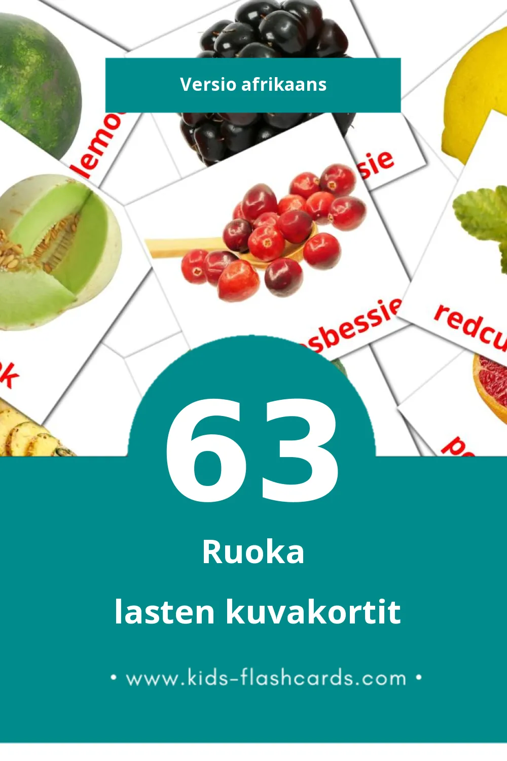 Kos lasten kuvakortit pikkulapsille (63 korttia Afrikaansksi)