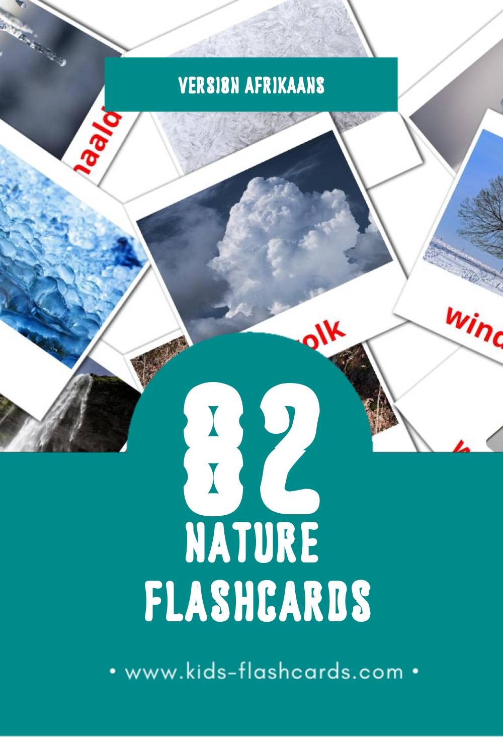 Flashcards Visual Natuur pour les tout-petits (52 cartes en Afrikaans)