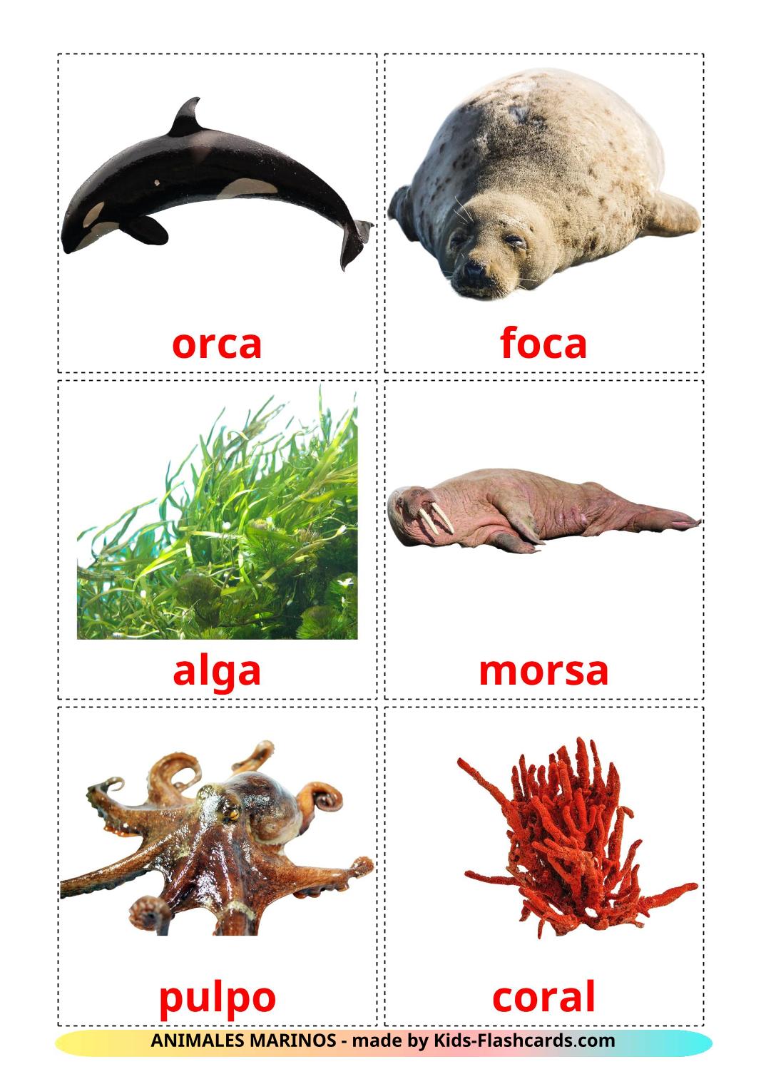 Animali marini - 29 flashcards amárica stampabili gratuitamente
